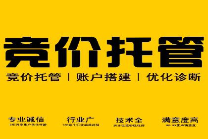 SEO与SEM优化案例：打造行业领先品牌